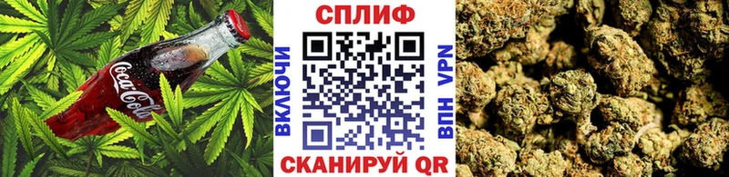 Canna-Cookies марихуана Голицыно