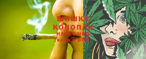 гидра Арсеньев
