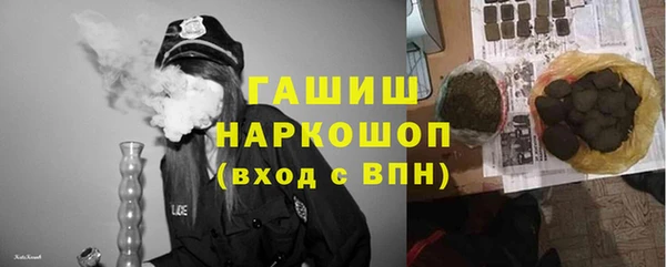 гидра Арсеньев