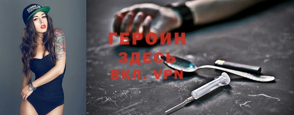 гидра Арсеньев