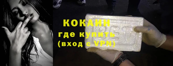 гидра Арсеньев