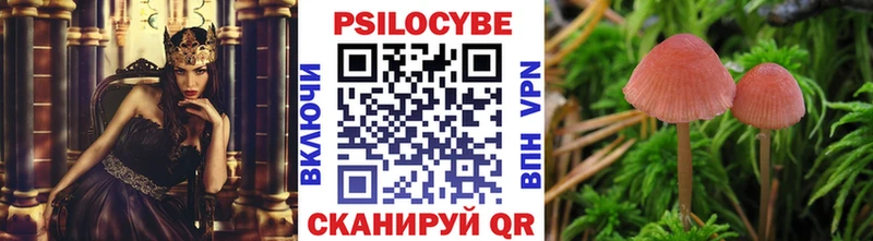 дарк нет состав  Голицыно  Галлюциногенные грибы ЛСД 